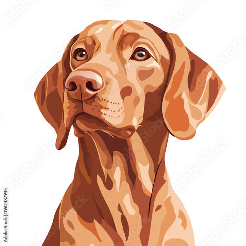 simple vector Vizsla clipart illustration white background vector art style simple design flat illustration no shadows