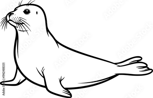 harbor seal line art silhouette vector illustration
