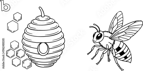 Cute Bee and Honeycomb Vector Outline Insect Illustration for Children Coloring Book Design
