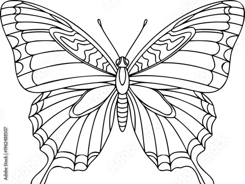 Beautiful Butterfly Vector Outline Nature Insect Illustration for Kids Coloring Book Page

