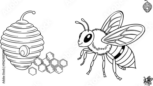Cute Bee and Honeycomb Vector Outline Insect Illustration for Children Coloring Book Design
