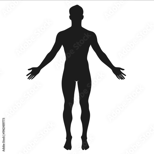 black silhouette human being on a white backgrounk vector