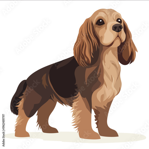 simple vector Sussex Spaniel clipart illustration white background vector art style simple design flat illustration no shadows