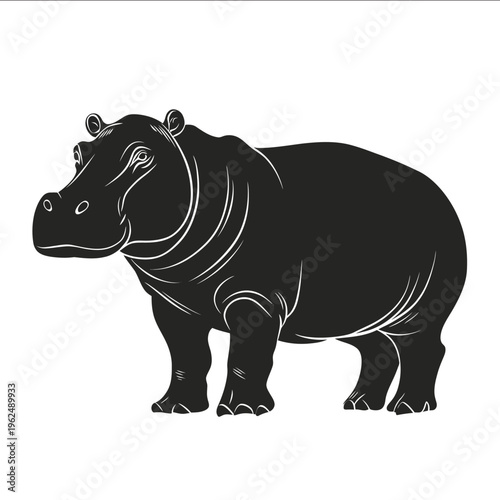 black silhouette hippo on a white backgrounk vector