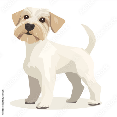 simple vector Sealyham Terrier clipart illustration white background vector art style simple design flat illustration no shadows