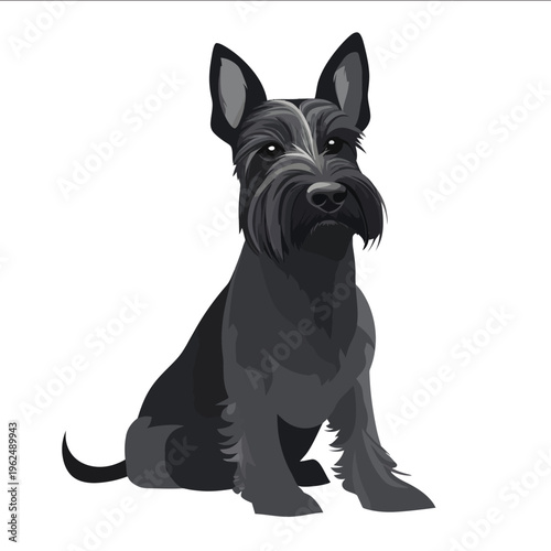 simple vector Scottish Terrier clipart illustration white background vector art style simple design flat illustration no shadows