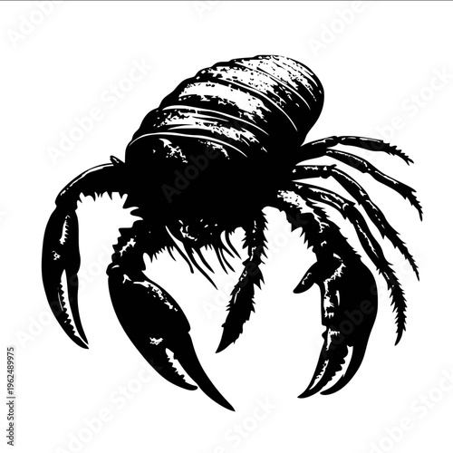 black silhouette hermit crab on a white backgrounk vector