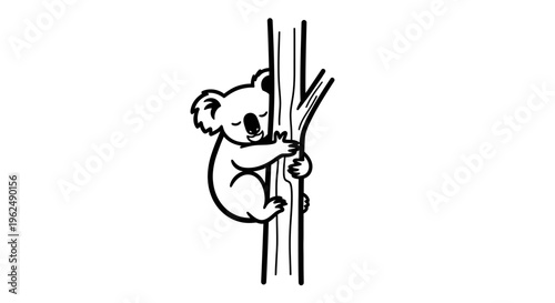 Koala bear climbing up a tree.