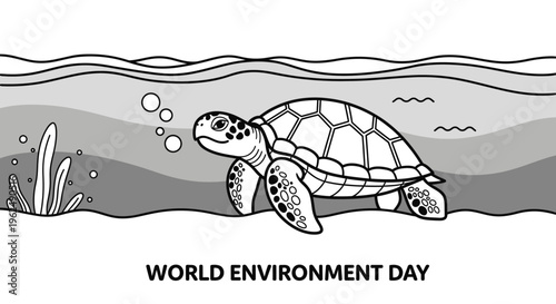 Turtle swimming underwater ocean sea creature.