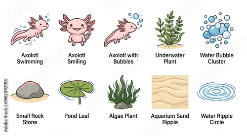 Axolotl and aquatic elements cartoon illustrations set featuring various cute amphibians, plants, and water features, perfect for children's books or educational materials.