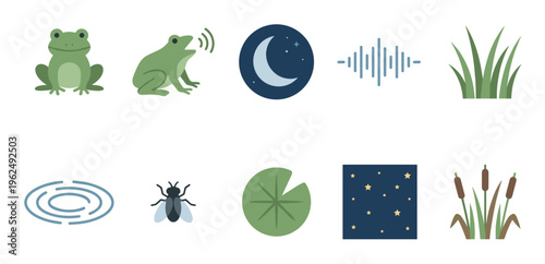 Pond life and night elements are depicted in a charming collection of flat design icons representing a nocturnal wetland ecosystem.