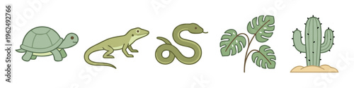 Cute cartoon desert and tropical animals and plants including a turtle, lizard, snake, monstera leaf, and cactus in a simple illustration style.
