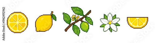 Lemon fruit pixel art collection illustrating the life cycle of citrus, including blossoms, unripe fruit, and fresh slices in a classic retro game style.
