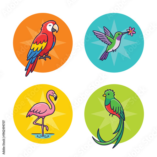 Set of Four Tropical Birds in Circles.