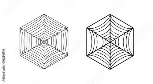 Line drawing of two wireframe cubes with spiderweb-like patterns on a white background in a minimalist style.