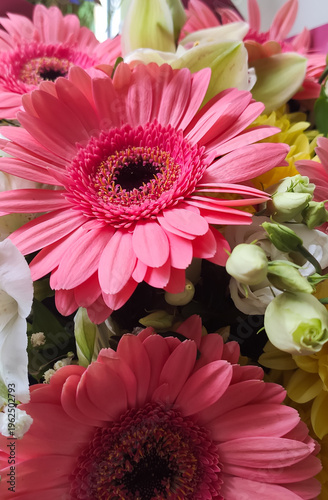 Foto Macro shot of fresh flowers highlighting rich colors and delicate structure