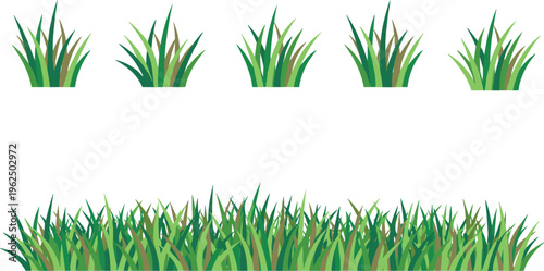 Vector illustration of green grass clumps and dense strip representing nature, landscape, garden, ecology, and decorative outdoor design