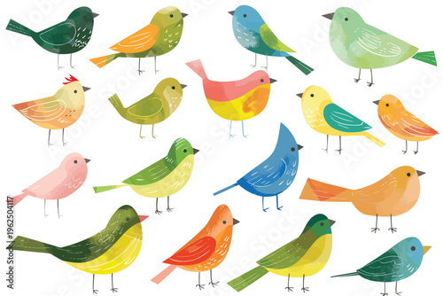 Colorful birds set white border stock image isolated vector style
