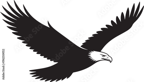 Black eagle, flying eagle, bird silhouette, white background