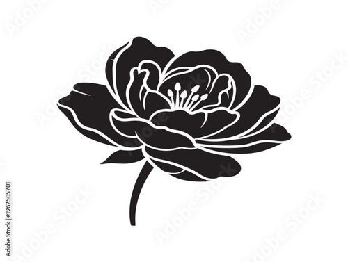 Beautiful vintage botanical flower silhouette with timeless elegance 