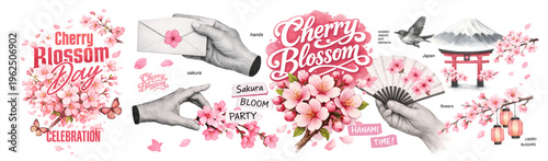 Cherry blossom vector set with sakura flowers, lettering, hand, fan and Japanese elements. Spring festival design for hanami, celebration, card and romantic floral branding on a transparent background