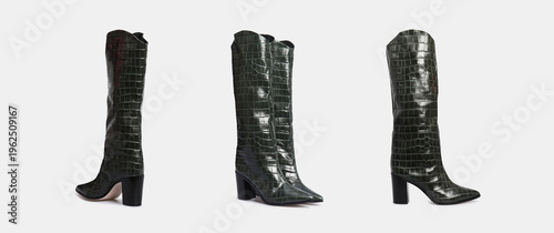 Billede på lærred Blank green women's crocodile leather knee high boots isolated on white background