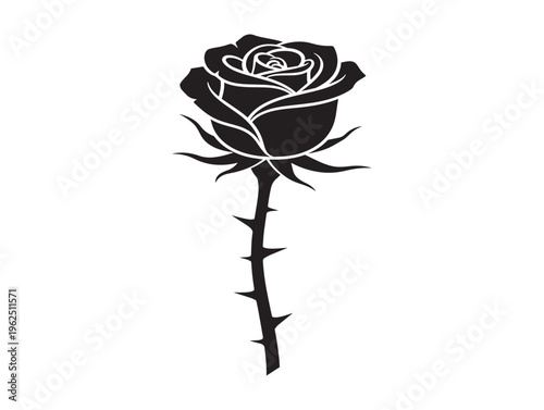 Beautiful rose and thorns silhouette with detailed natural contrast 