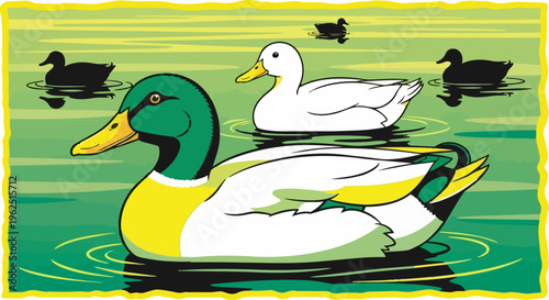 Colorful ducks, mallard ducks, white ducks, green and yellow ducks, swimming ducks, pond animals, wildlife illustrations