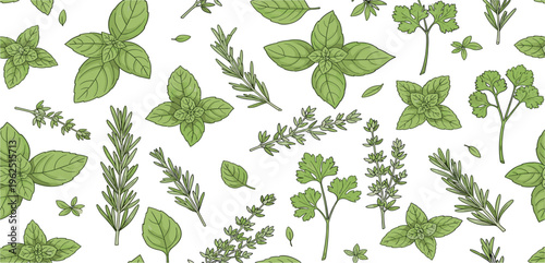 Herbs and Leaves Seamless Pattern with Basil, Rosemary, Mint and Parsley, Natural Botanical Background for Organic Food and Culinary Design