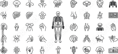 Medical Anatomy and Orthopedic Line Icon Set with Human Skeleton, Joints, Bones, Pain Areas and Healthcare Diagnostic Symbols Collection