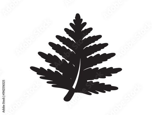 Cedar leaf silhouette refined evergreen foliage for elegant natural design 