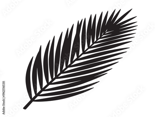 Palm frond silhouette elegant beach inspired foliage for vacation themes 