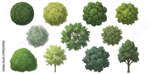 Collection of painted top view green trees and foliage for architectural landscape design