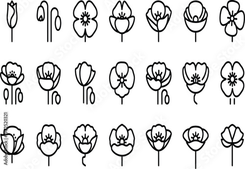 A collection of 20 unique flower silhouettes in various stages of bloom showcasing different shapes and structures silhouette