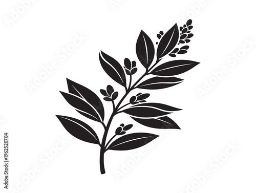Detailed herbal branch silhouette with fresh natural botanical look 