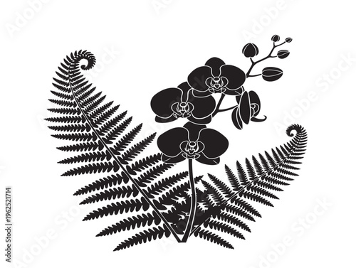 Fern and orchid combination elegant floral foliage silhouette design 