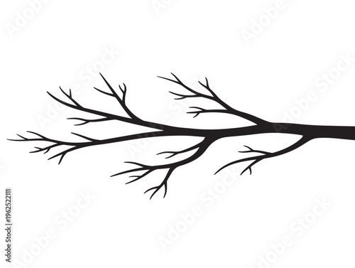 Natural tree branch elegant botanical silhouette with realistic form 