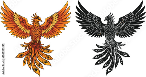 Phoenix bird illustration set, mythical fire rebirth duality transformation artwork, fantasy vector design concept
