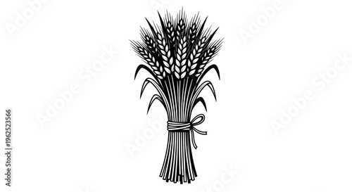 Hand drawn wheat stalks in minimalist black and white style