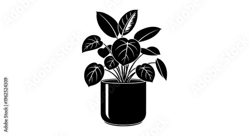 Black and white potted plant with symmetrical leaf arrangement