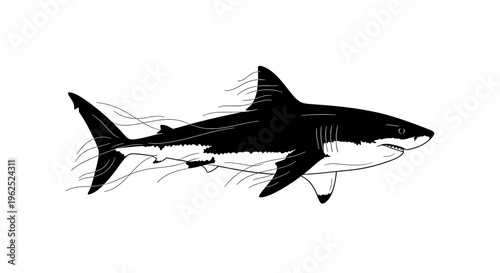 Minimalist black and white shark side profile with sharp teeth