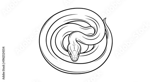 Coiled snake in minimalist black and white line