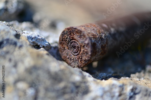 An old, rusty shoot shell in the caliber 12/70 in the mountains of Xalo-Spain. Environment pollution in the nature.