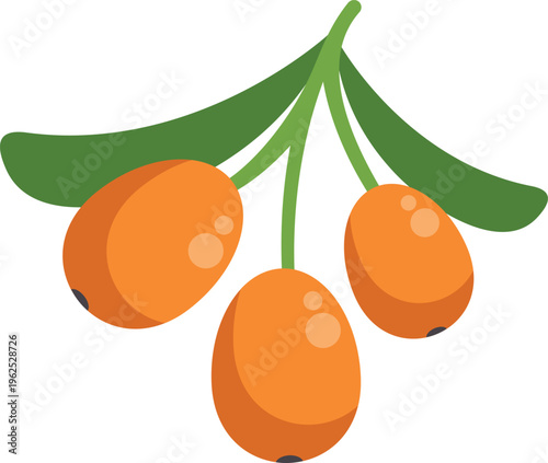 Sea buckthorn berries hanging from a branch showing green leaves