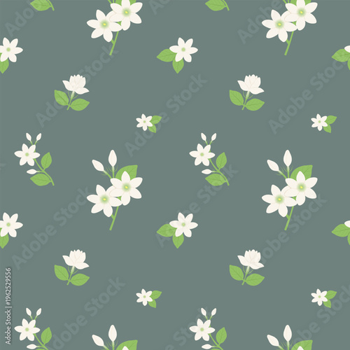 Hand-drawn jasmine flower seamless pattern