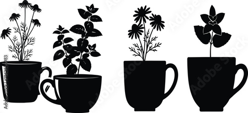 Chamomile and mint herbal tea plants in ceramic cups silhouette vector set
