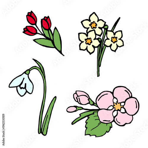 vector illustration of spring flowers