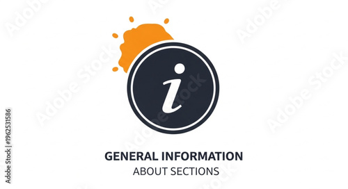 General Information Icon with Orange Splash - Essential Guide to Sections.