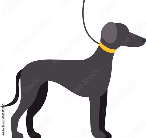 Minimalist vector illustration of a sleek greyhound standing with a yellow collar on white background