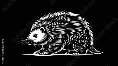 Photos Graphic illustration of a spiky porcupine